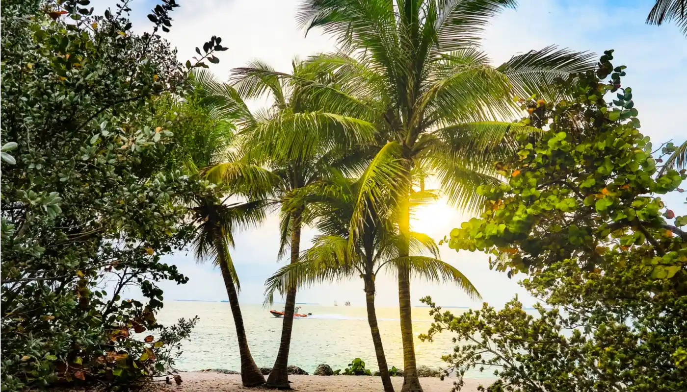 ek7as52iamrkgts7lwnb