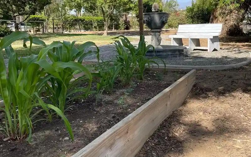 lljaoaj3cgyr6aegsu3c