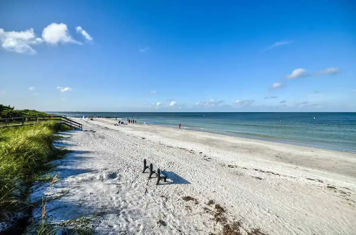 moockvy93d68tff9shqn