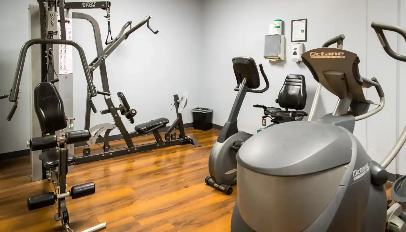 krmaqvfifefoxxlzlziu-2393981