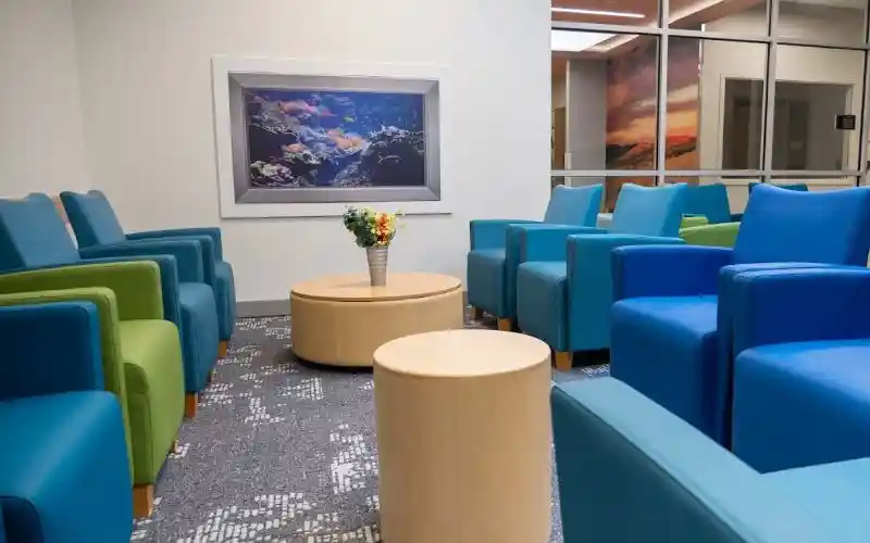 idamaicooheyib8blxn8