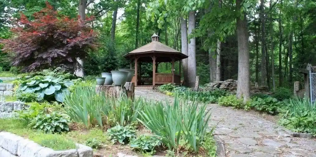 nizuieecuczoxotigayn