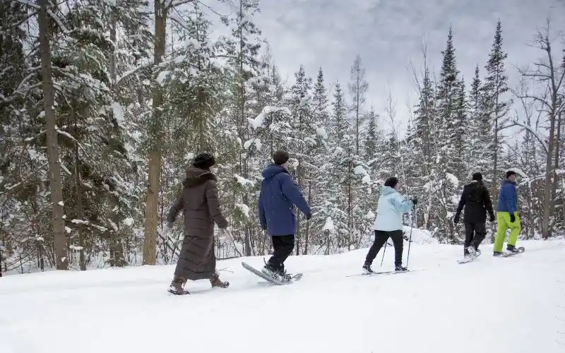 pl5suob4pfeeomfem0wv