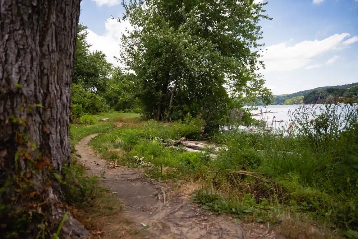 aheaw8ts0odb52crrgm8