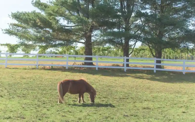 awbanz1ctetr6tmupbaz