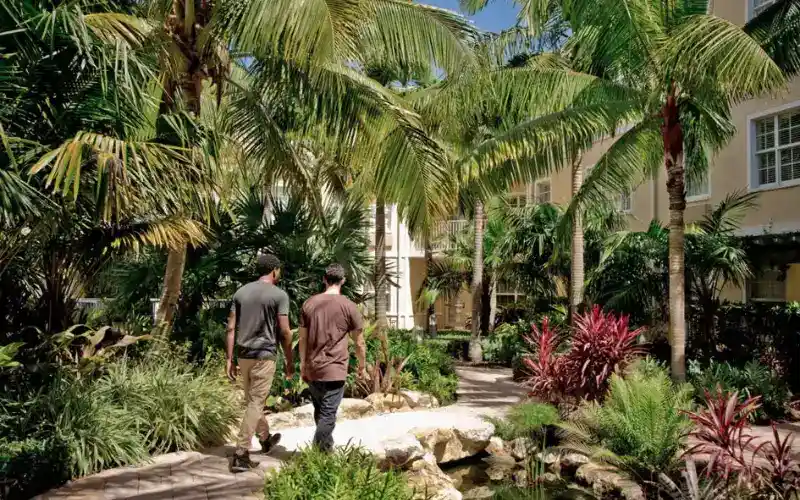 c1md9folex5mctnstnfs