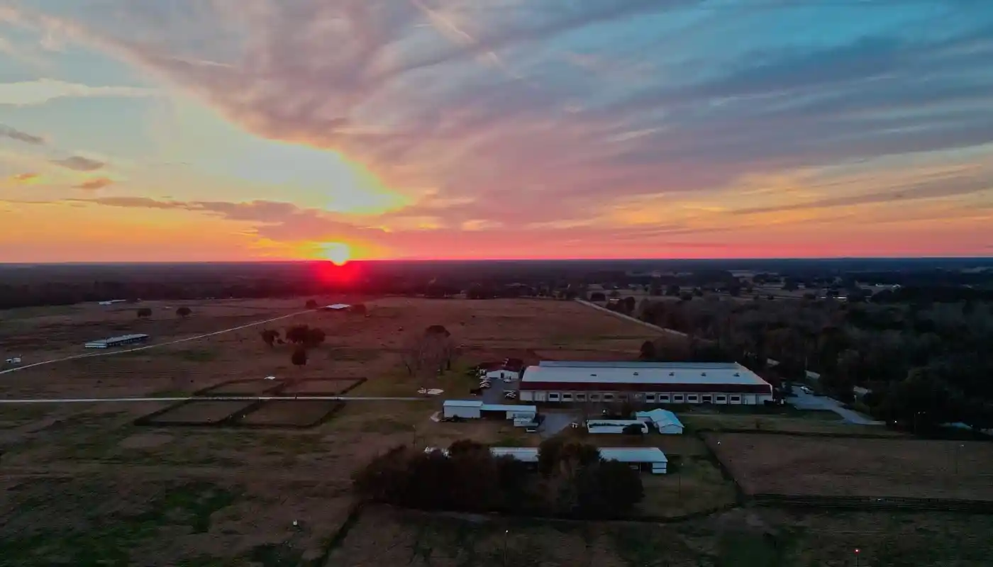 f0doosqgc6qlmmjlysns