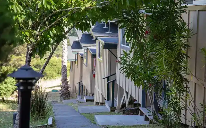 ftqon7pls5va7vrieae5