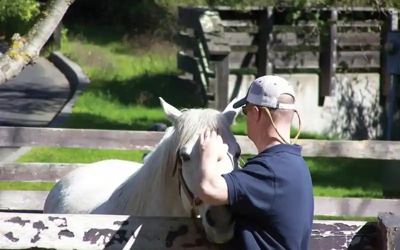 ikhqrq4v00qqkexmrxbo