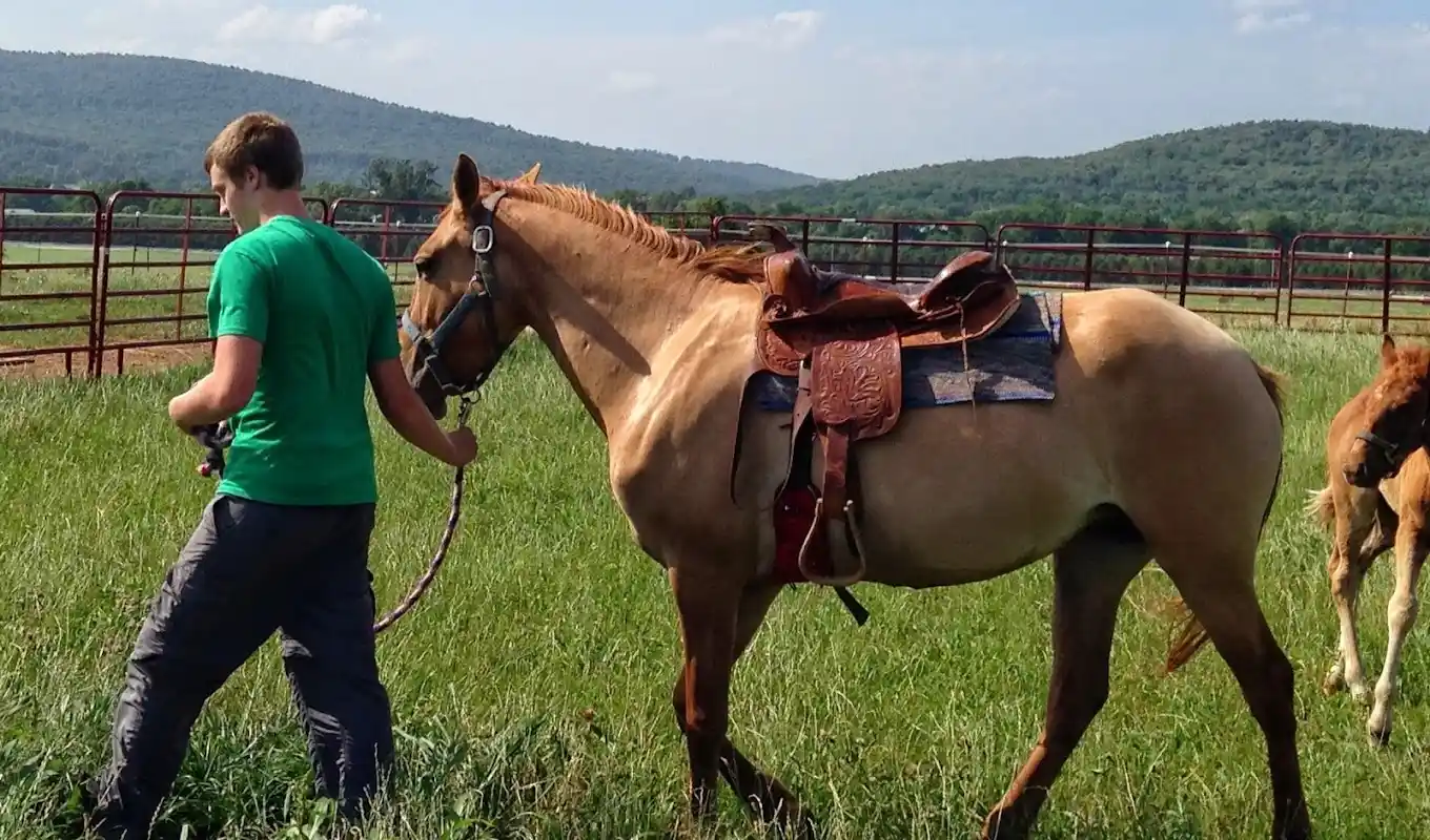 kpghd1mll5xob7cxc1p0