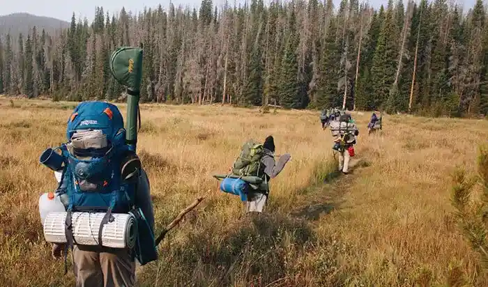 lvt0mvbdyjleydm7o8ki