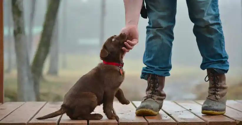 nbxhsdtg9uoj0ed9mj7o