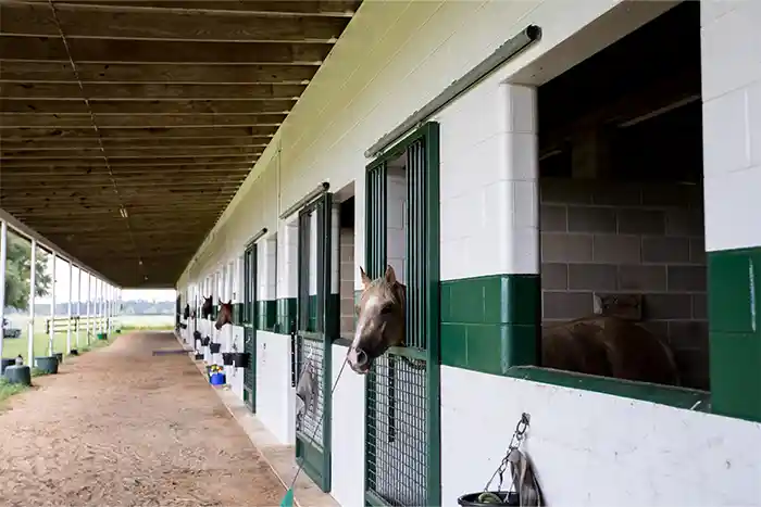 put5lazo1rsodnm47pd7