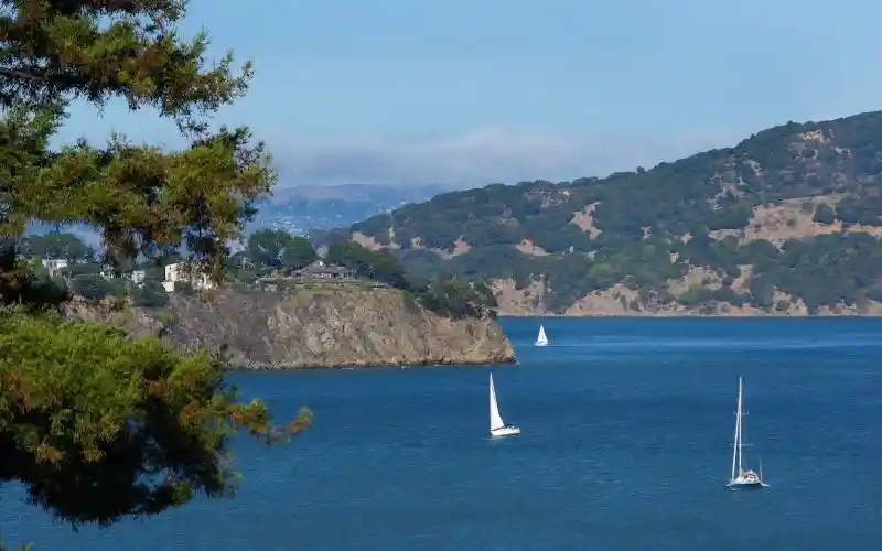 qo11bwwzlgmwuzlqiclq