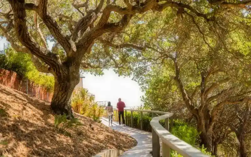 sghbpsvxdl9jqwy23lbl