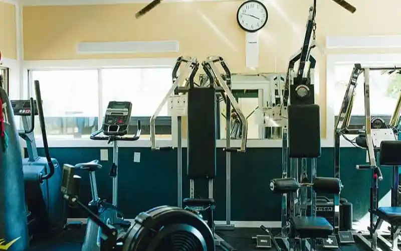 vngwz2pehsd2sr4btd6r