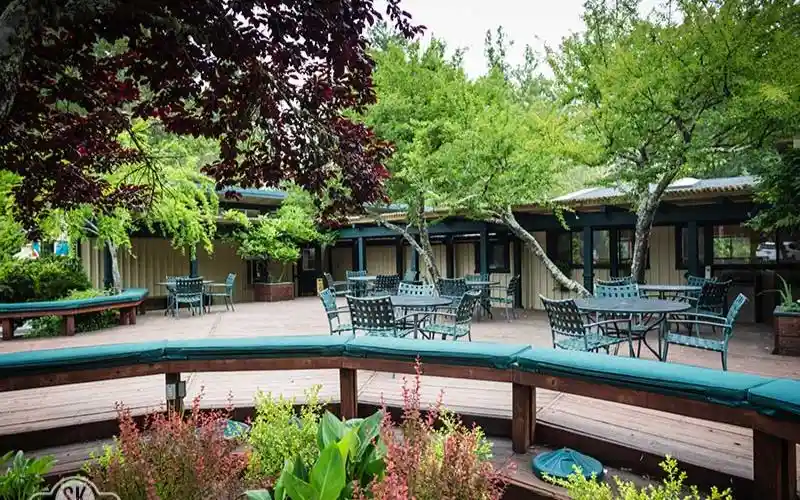 xgtlbwnnd644agmqyuqv