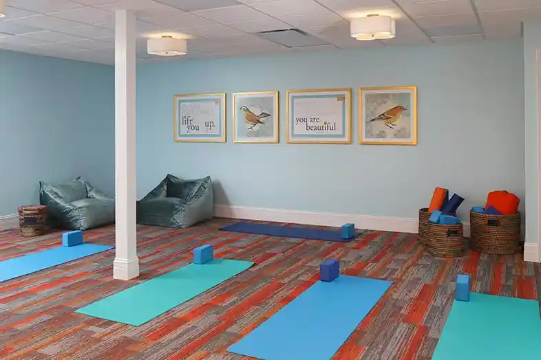 hd1urq9bxgff6mbbtsmf-9709096