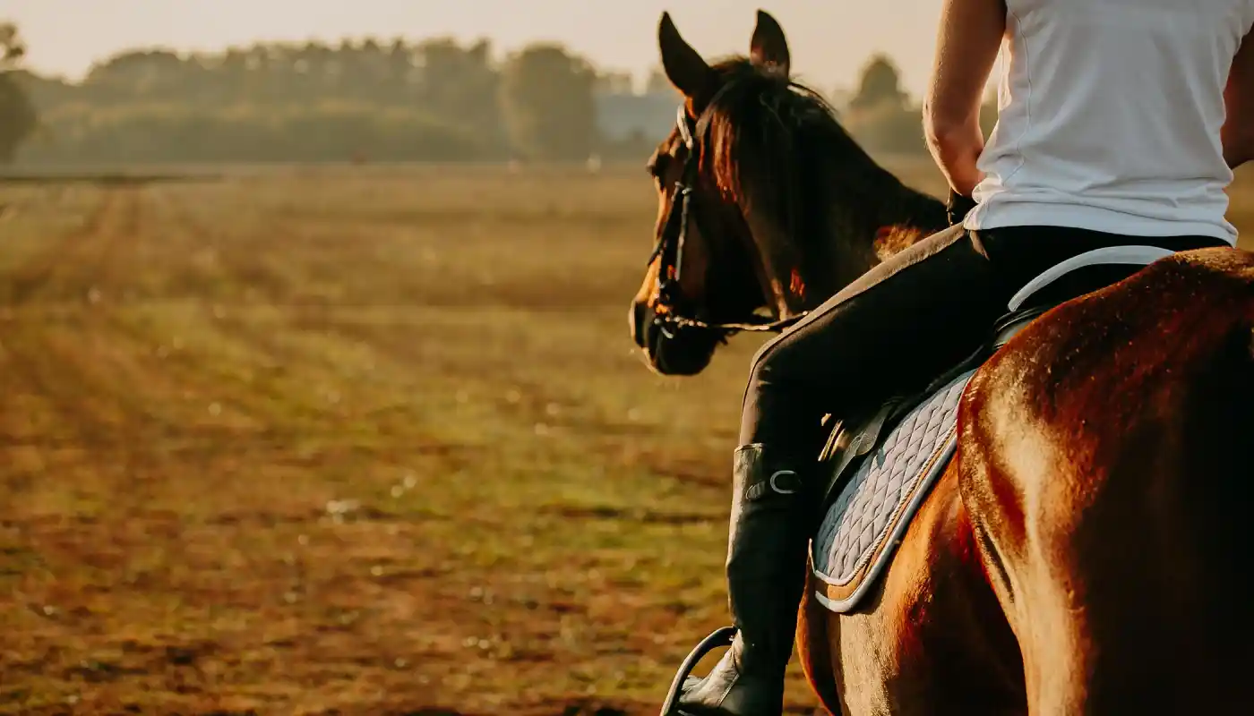 jaqatnaymu217hovwl9w