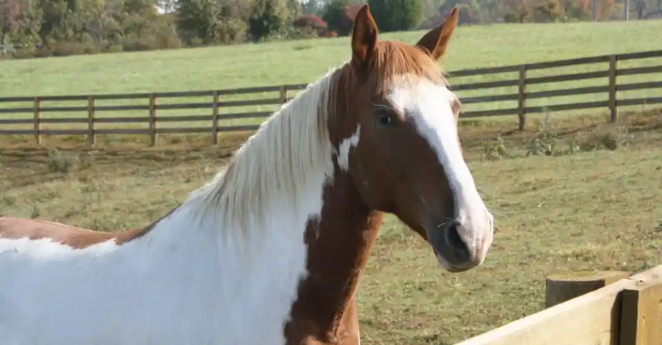 rfr1yhghvjlmhvuycmsg-5413962