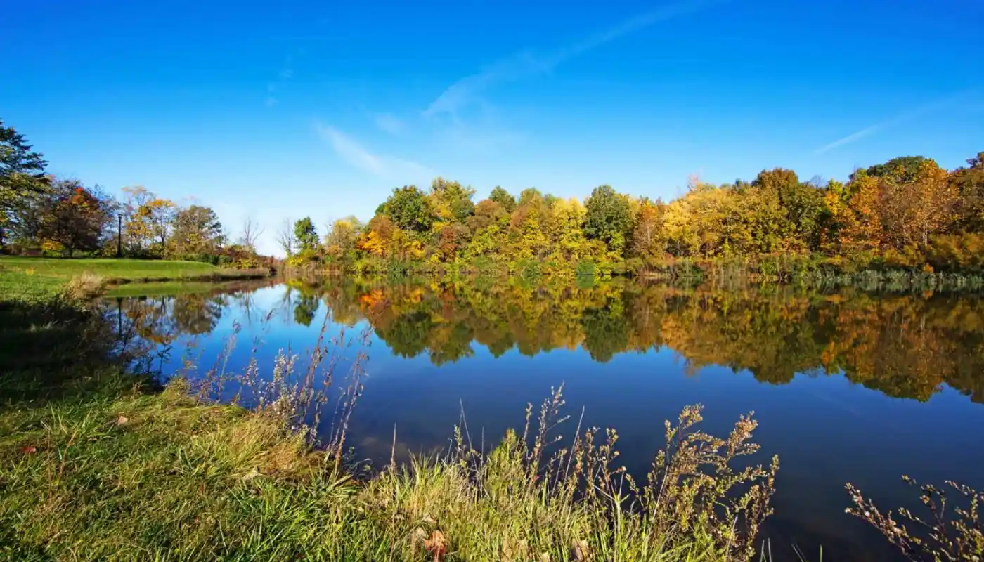 ucq67izas0cz3sec5rsc