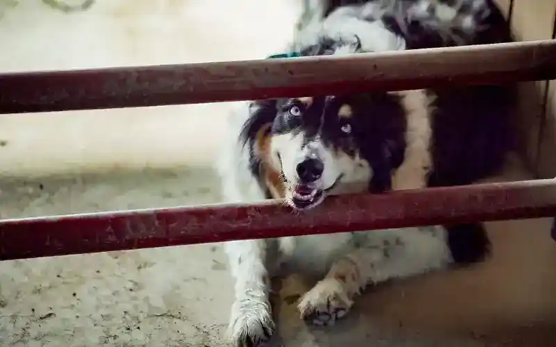 al6o3efbns8vqyjlhgzx