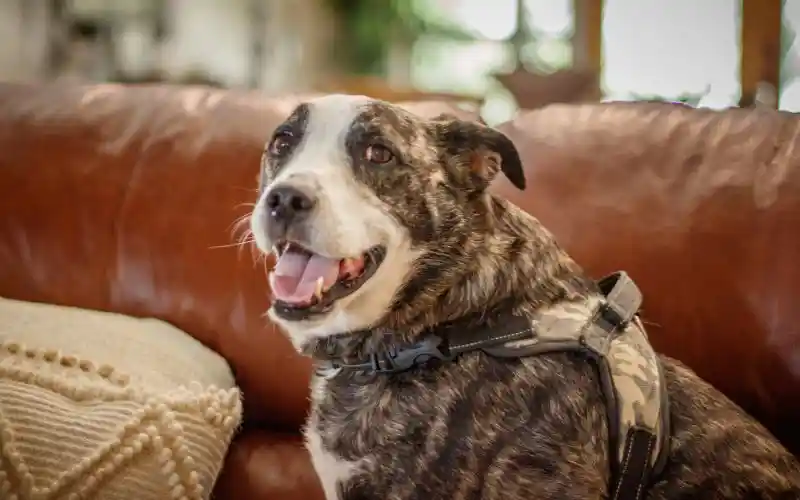 ansftjy5tzsr2bfpndtx