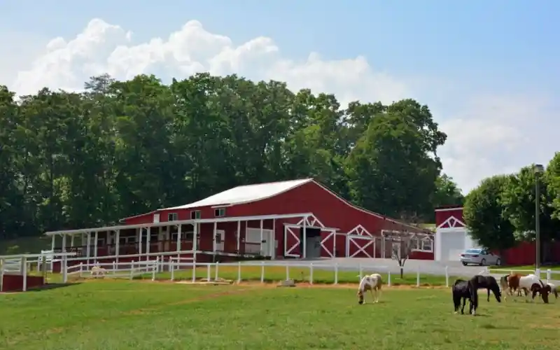 b1bik73iyrwe6zuvswig