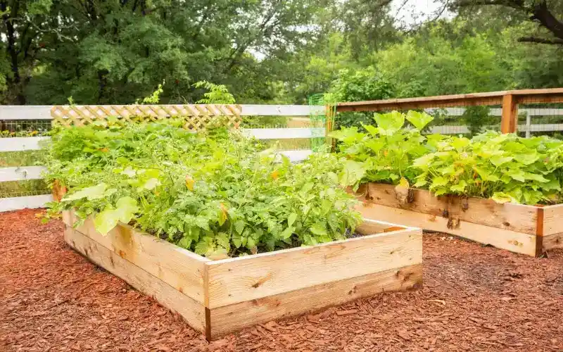 brxhirnjvfuqc1jmfbtz