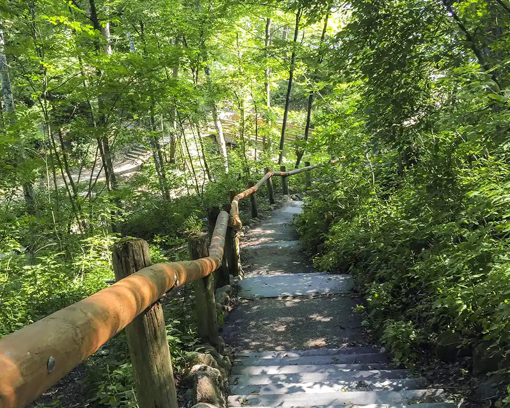 chxlzqzg8f0pw5eledju