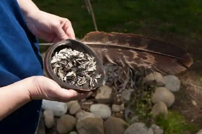 egvvwqifdzbwdes8vt1w