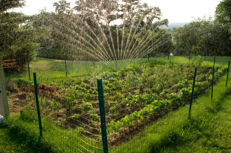 favoanyr99zvi0zcrrsu