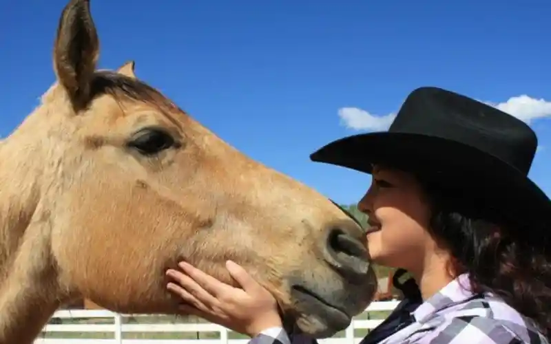 hruzihxrcvnvnr1xtsde