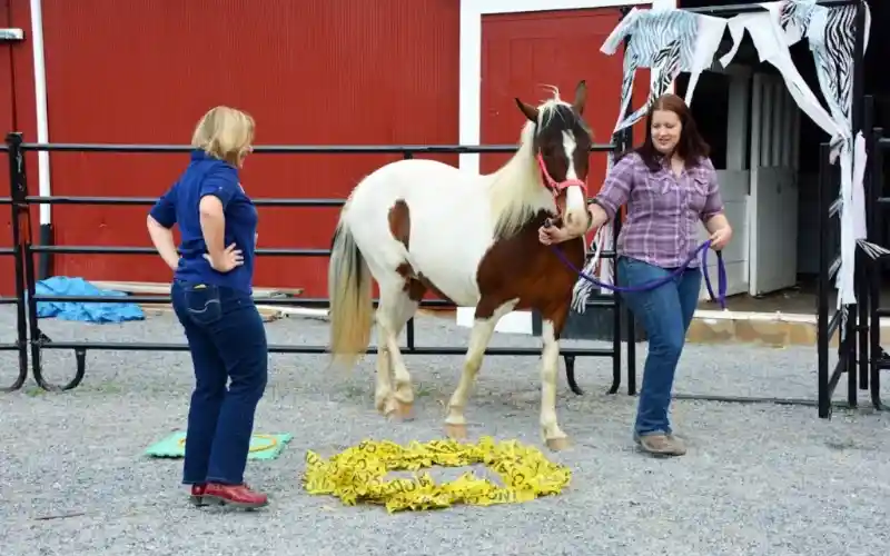 ka68en8yah3vnq4gpbd0