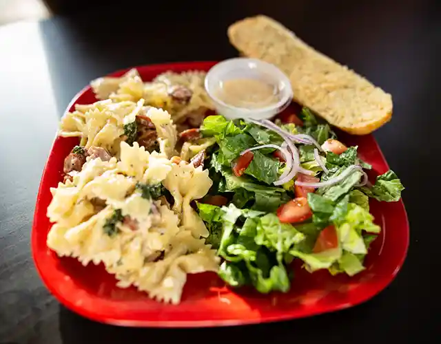 lqmrfvqismolglhvkq20