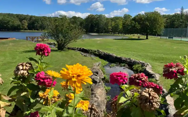 nir5qjqbhdifhd1dfie5