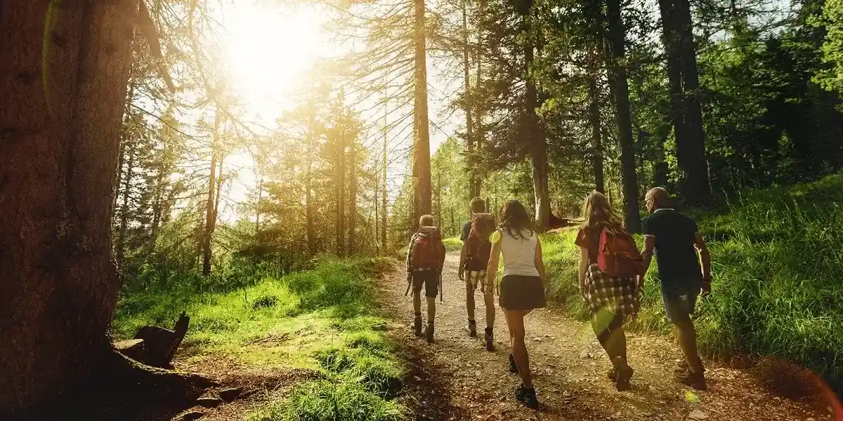 pfrk4t1hlm7g7cpmtugo