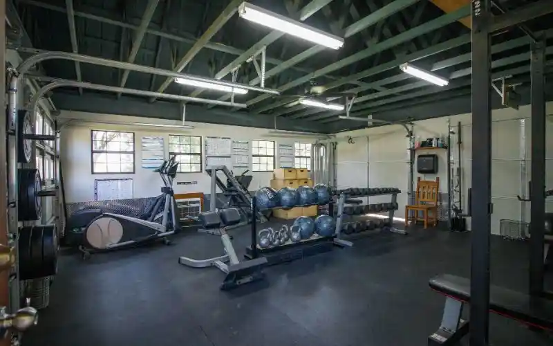 pllzpltzaicu5t9msyvw