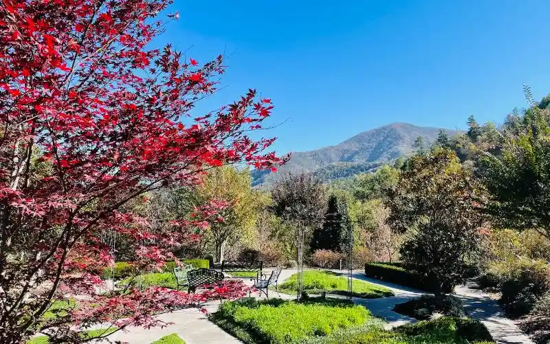 ppjshxxwzy1kagtepnvi