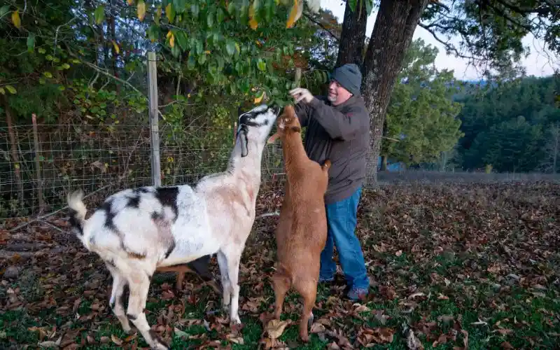 r0vgxkkc25dibbnnbysq