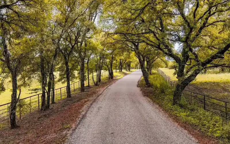 rugzbh21yszectq0rbiq