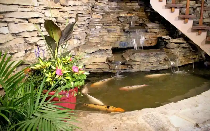 slrp51sspcgdssgdsvjw