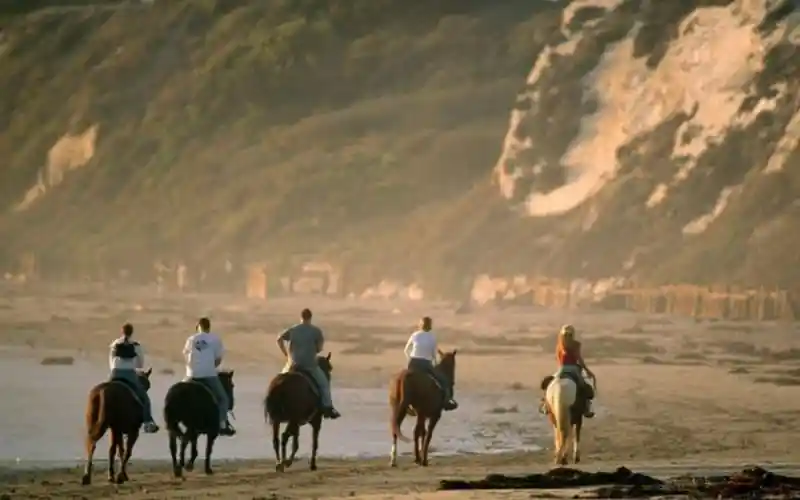 syw8y2v0oclsthjtlbww