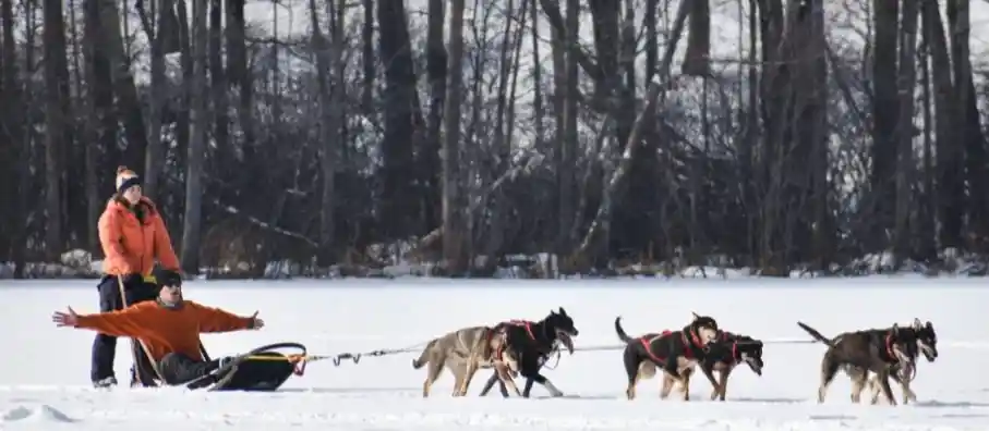 vodq75nc4oydzoysm8tq