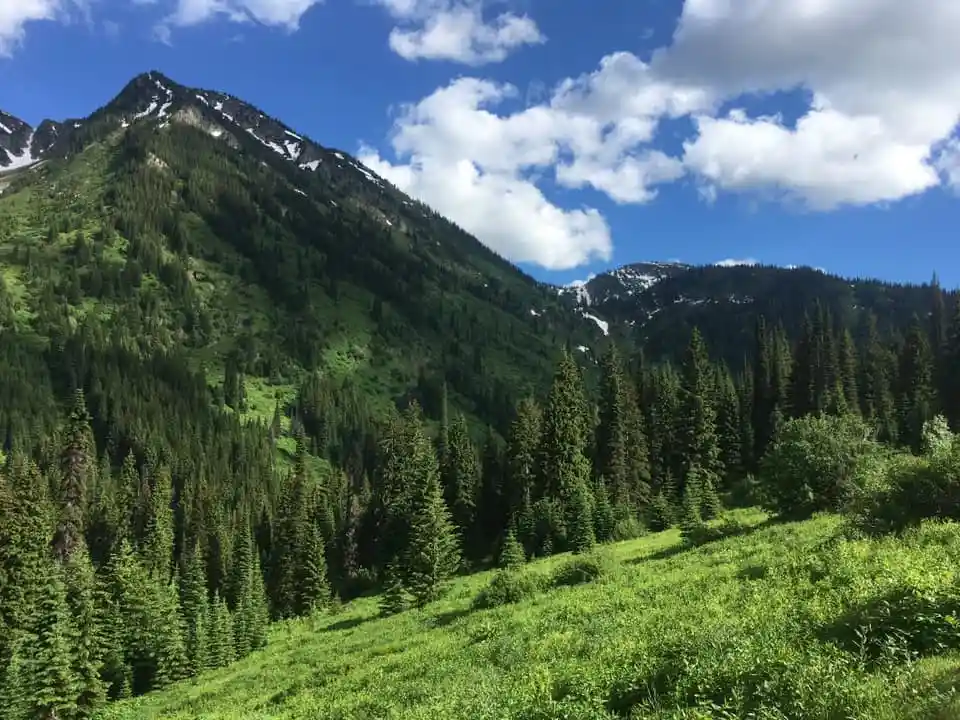 vtvymnryg5klz3elsiuo