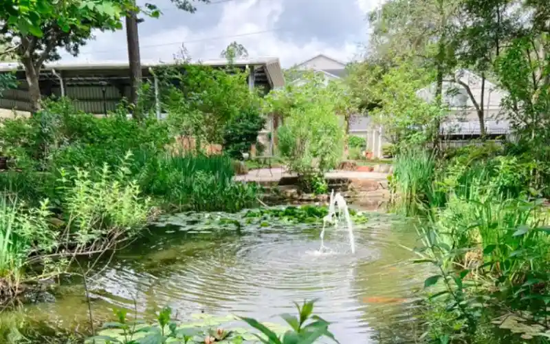 wtbcvvliknnerx22wkpt