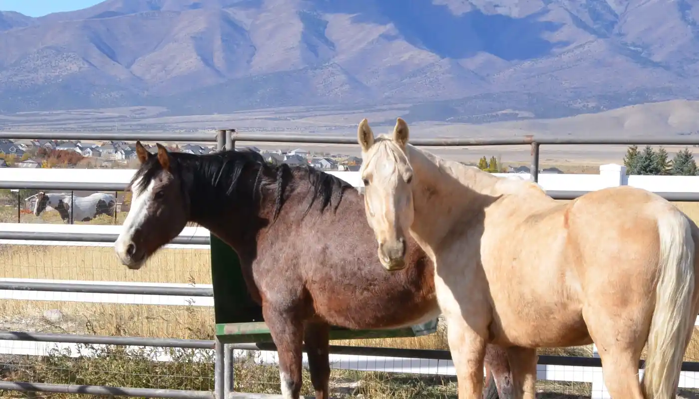 ytaqb2jddwkeeyplcwn2