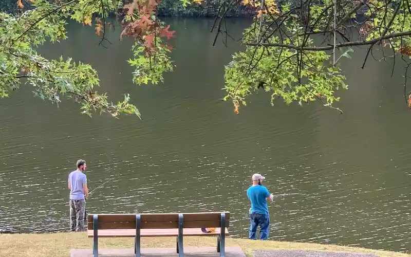 apezufgx32yge6sqkenz