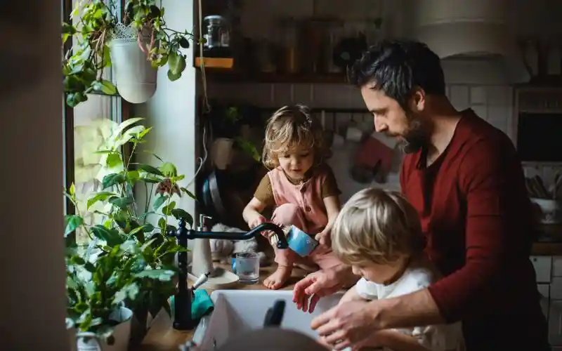 djyw5siygcqed03bycpt