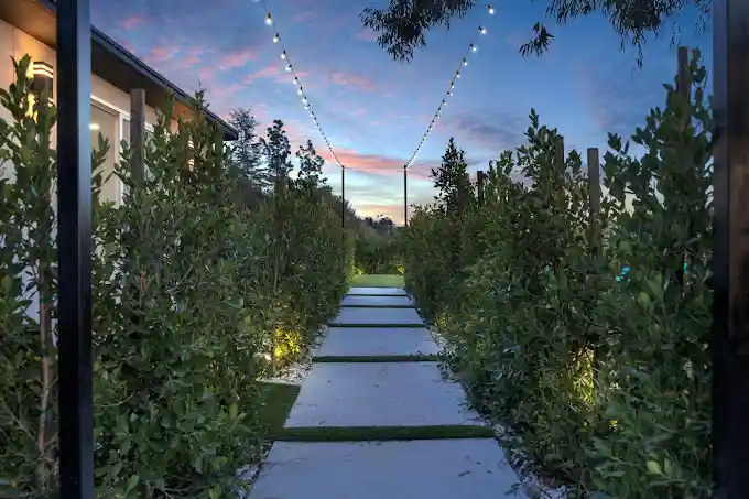 iysoepjbal4lrvddfgbn